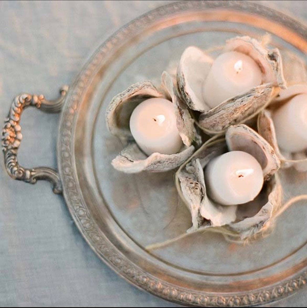 Oyster Shell Votive Holder