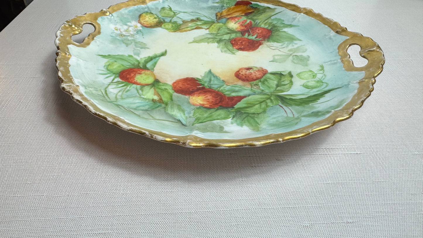 11” hand painted porcelain plate