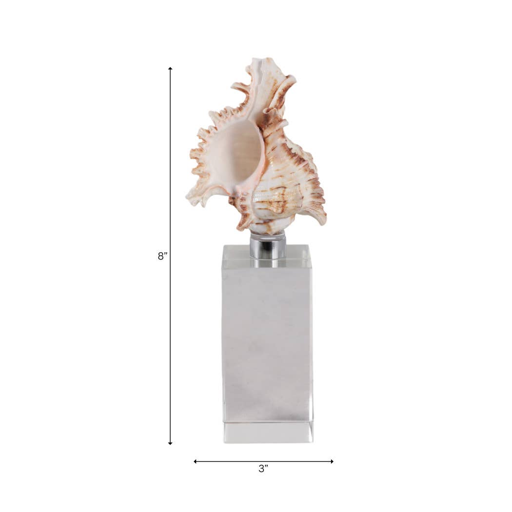 Sculpture - Ivory Shell on Clear Crystal Base, 8 in.