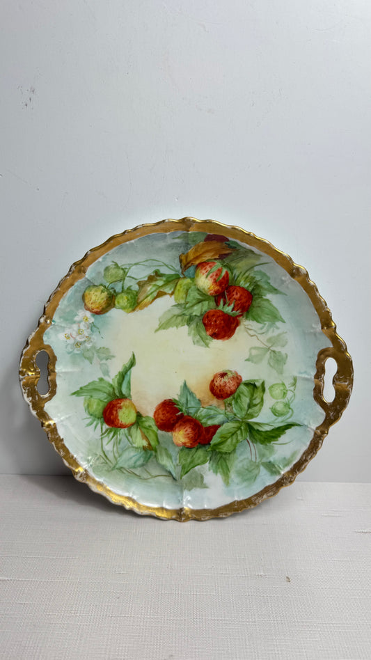 11” hand painted porcelain plate