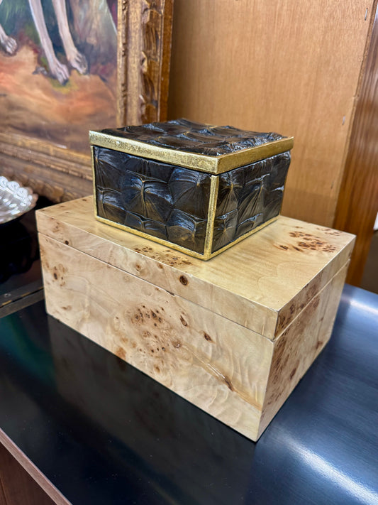 Snapping Turtle Shell Box
