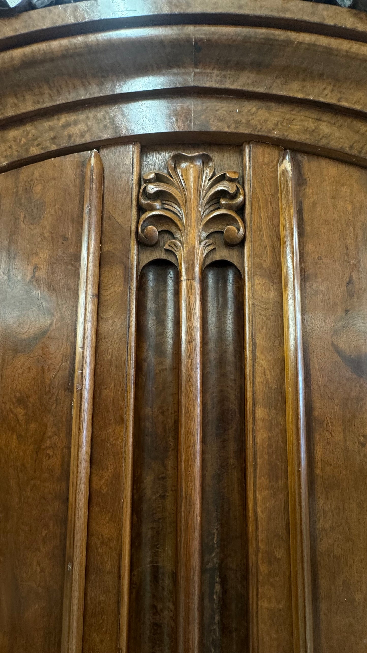 Burl walnut Armiore