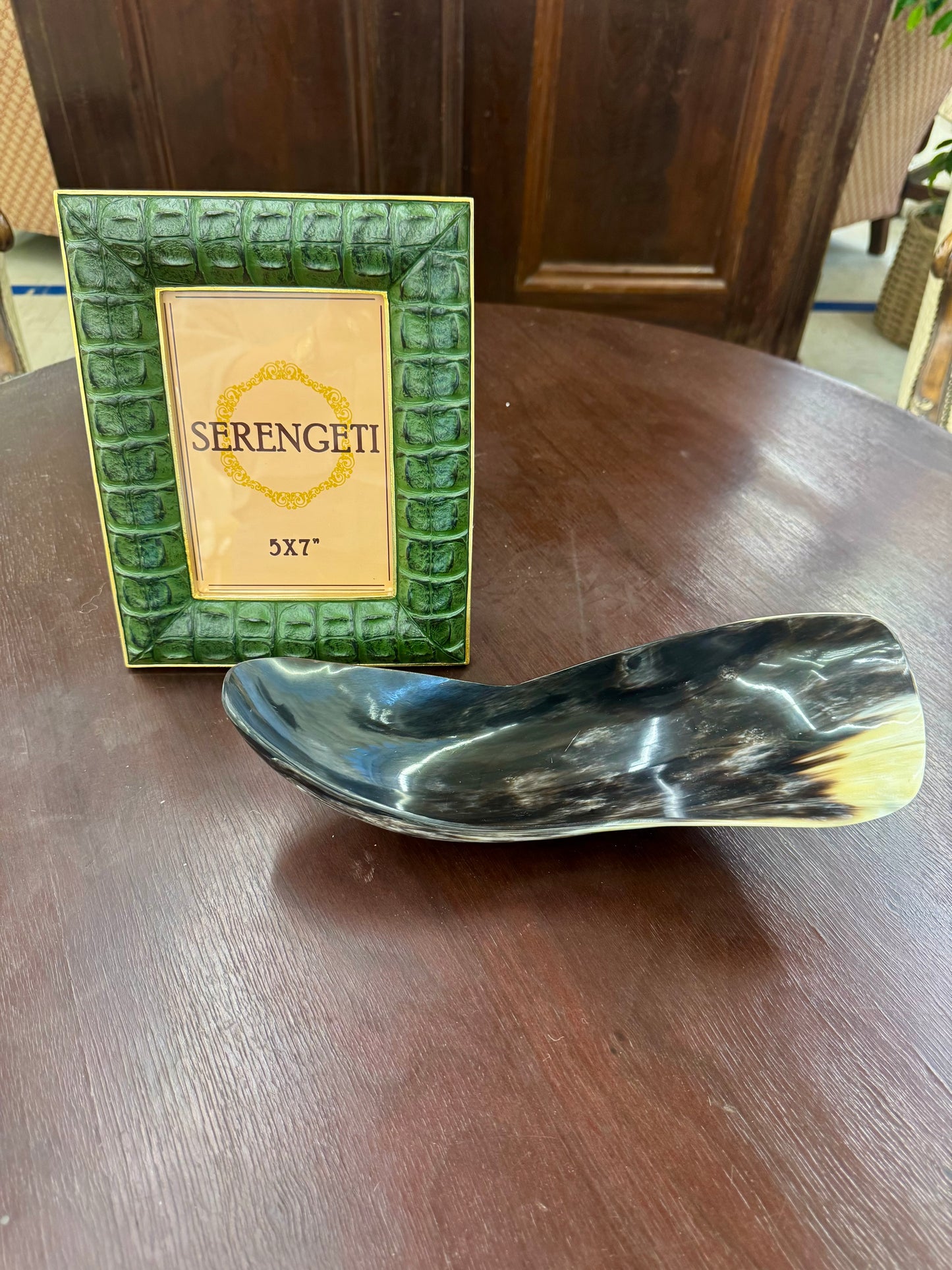Small Green Crocodile Frame
