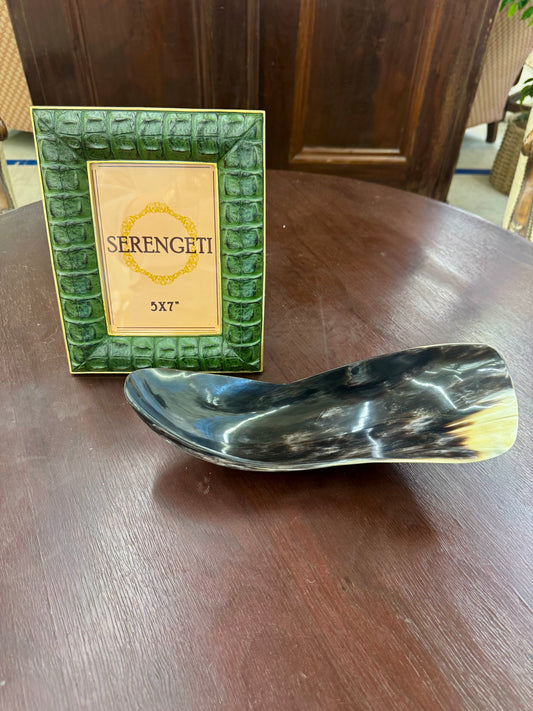 Small Green Crocodile Frame