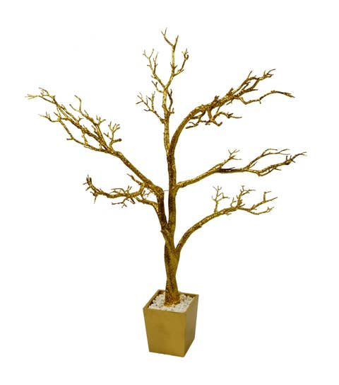 Manzanita Tree In Planter 4 ft