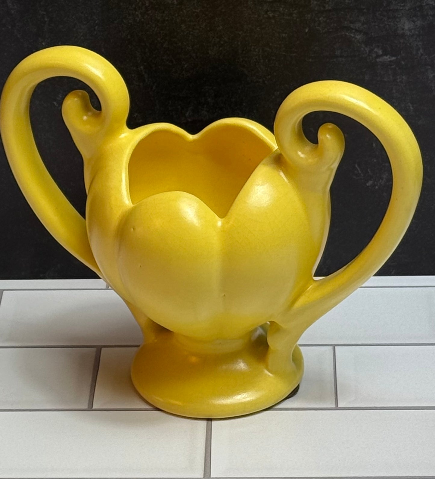 Camark Urn Planter Lateen Tulip Lotus Flower Double Handled Pottery Vase