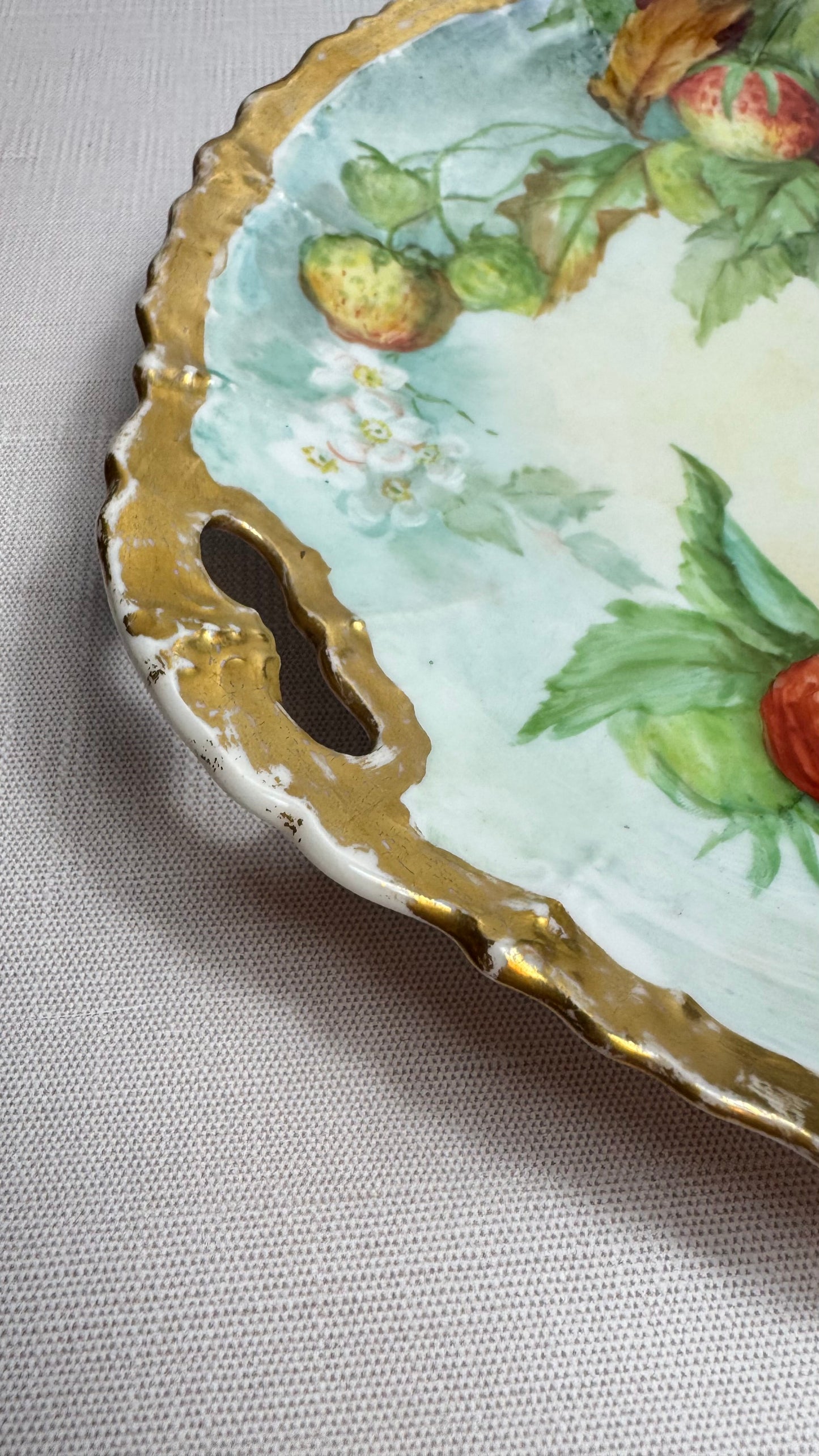 11” hand painted porcelain plate