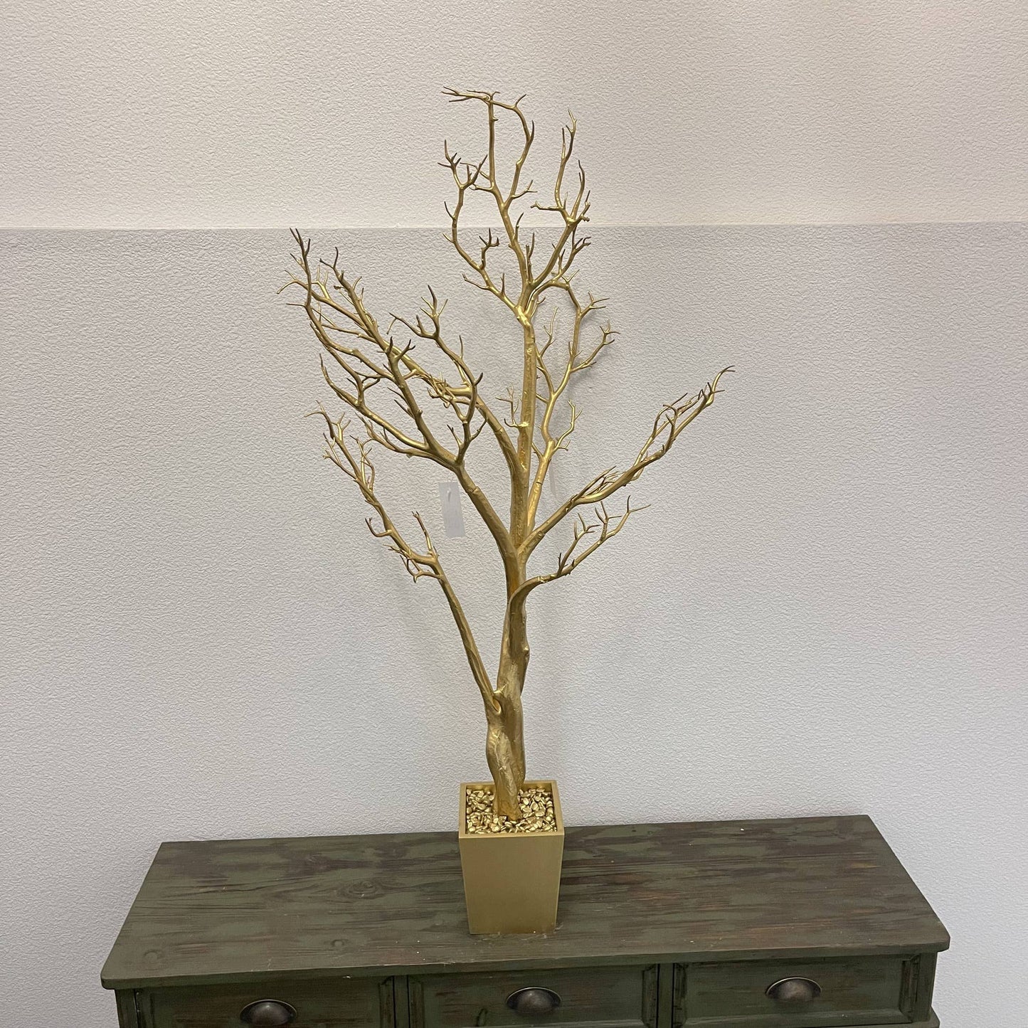 Manzanita Tree In Planter 4 ft