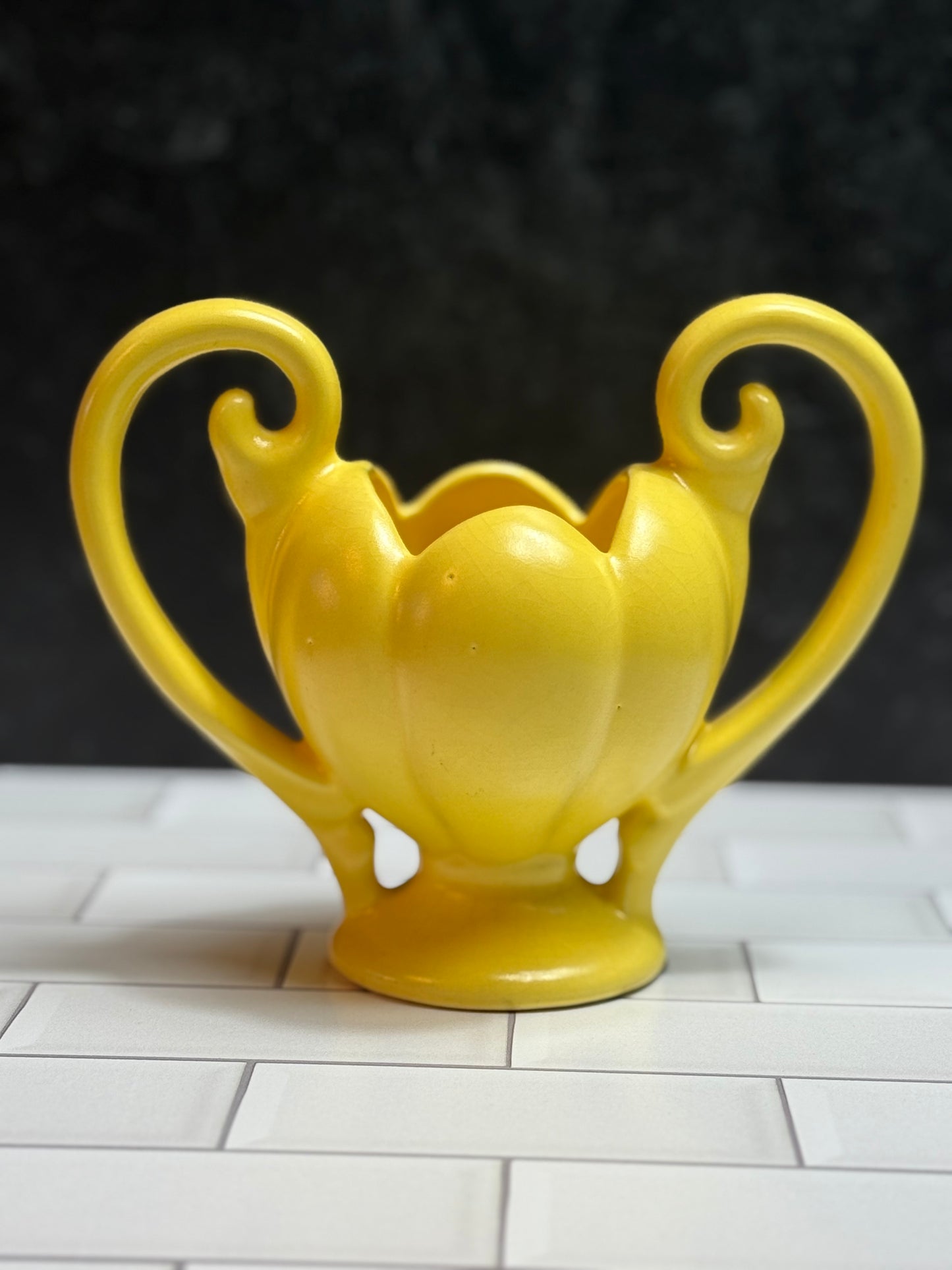 Camark Urn Planter Lateen Tulip Lotus Flower Double Handled Pottery Vase