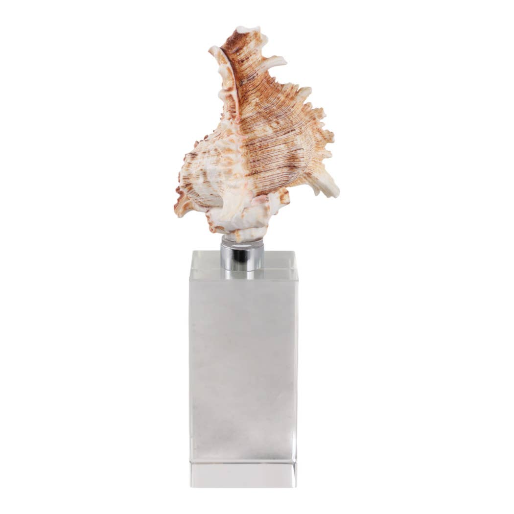 Sculpture - Ivory Shell on Clear Crystal Base, 8 in.