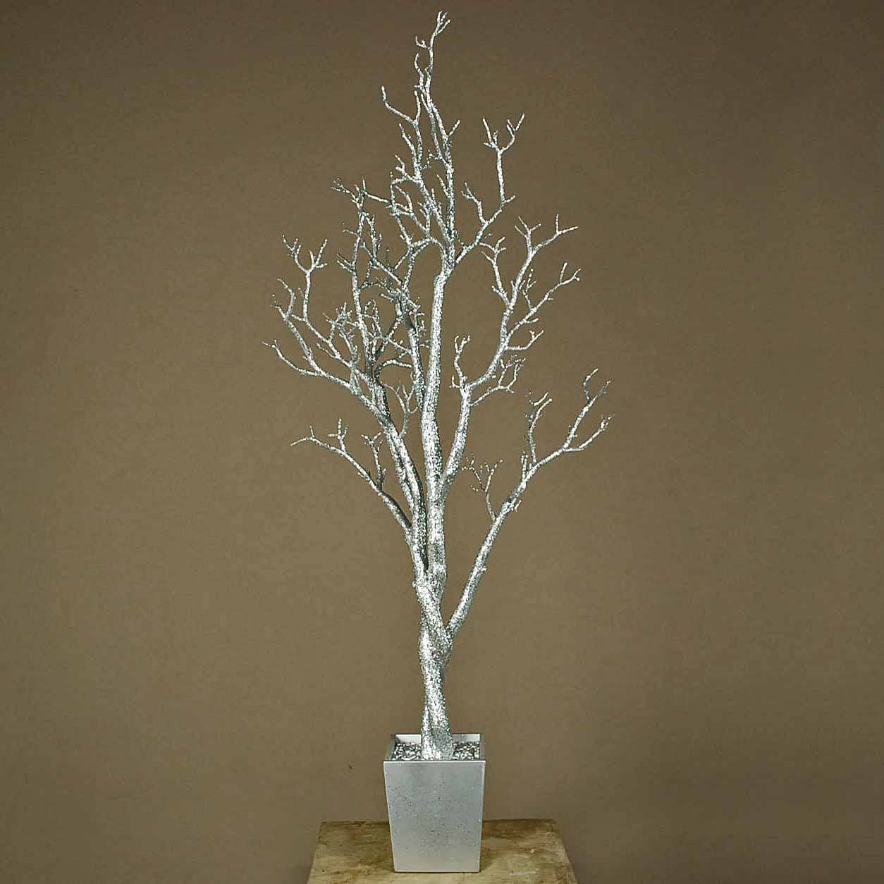 Manzanita Tree In Planter 4 ft