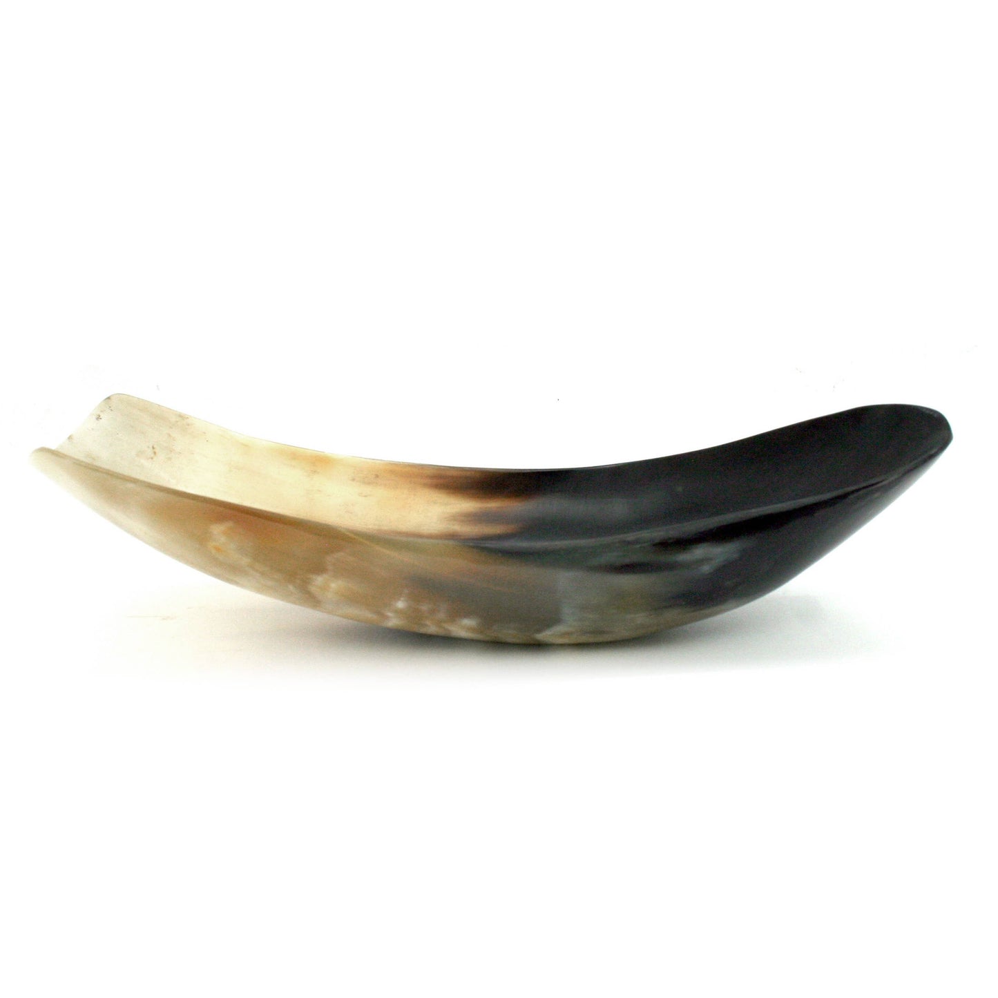 Water Buffalo Horn Bowl