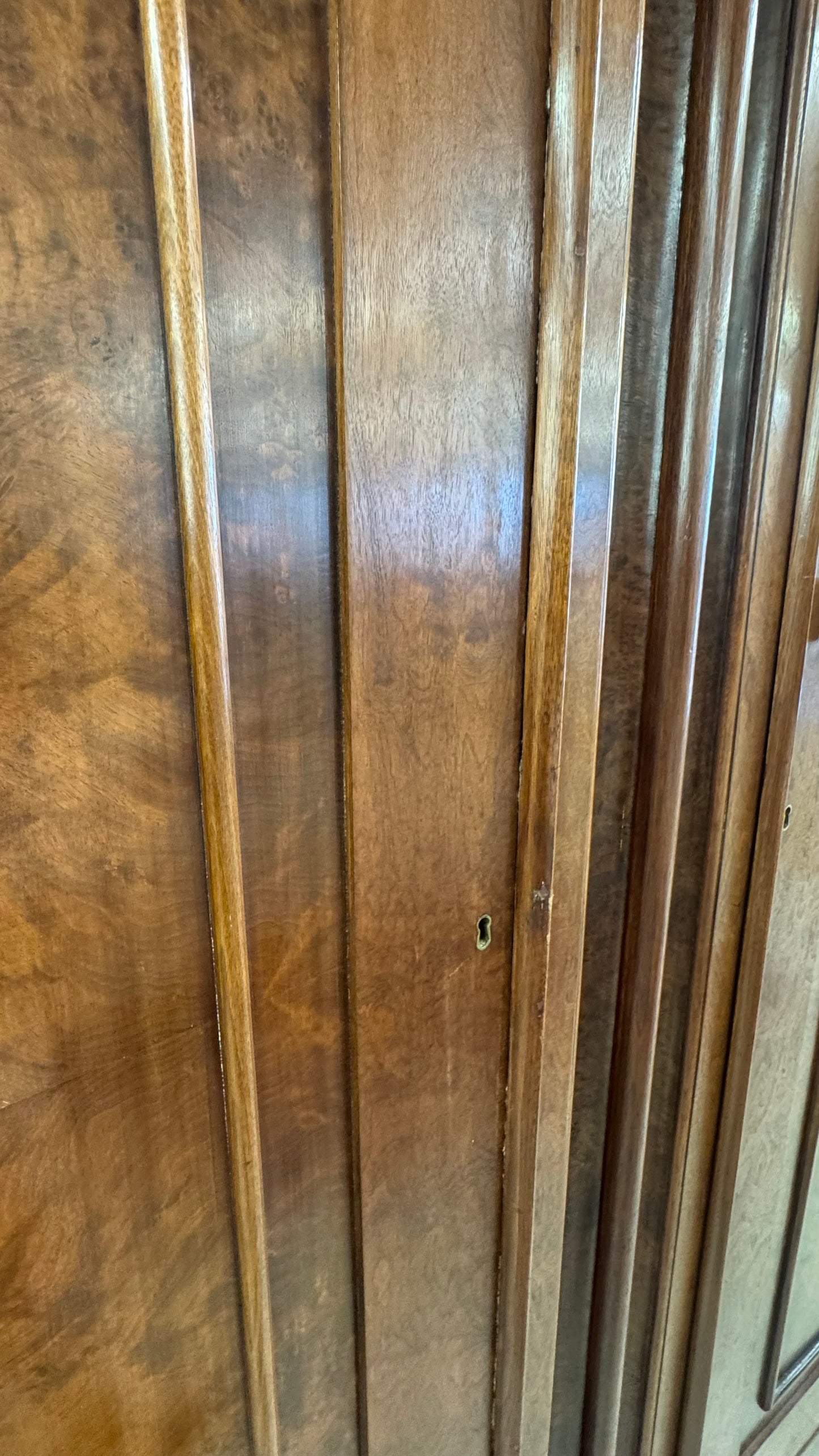 Burl walnut Armiore