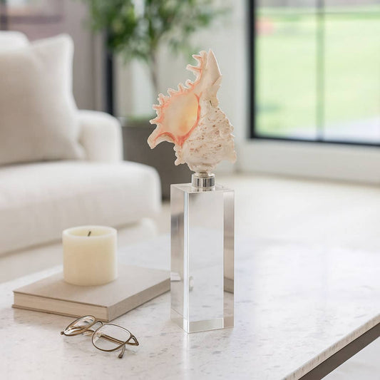 Sculpture - Ivory Shell on Clear Crystal Base, 10 in.