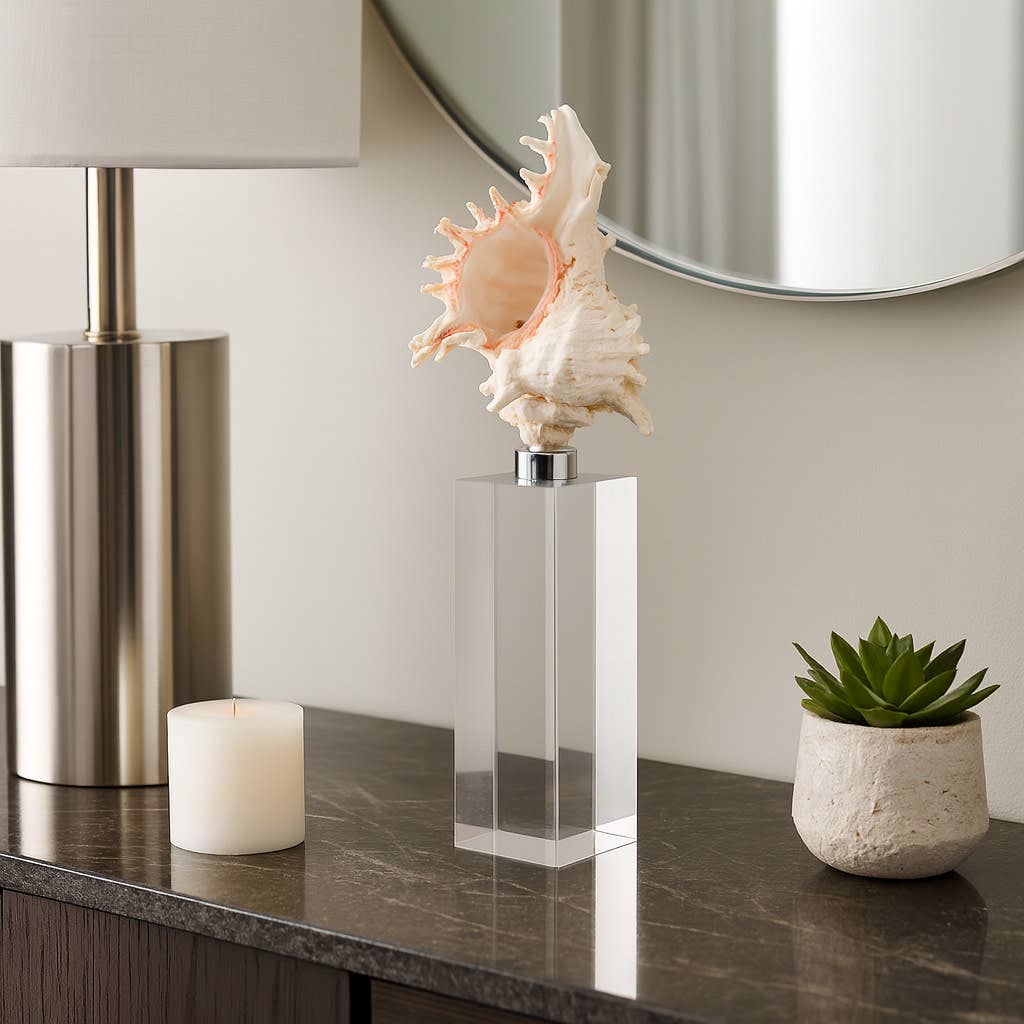 Sculpture - Ivory Shell on Clear Crystal Base, 10 in.