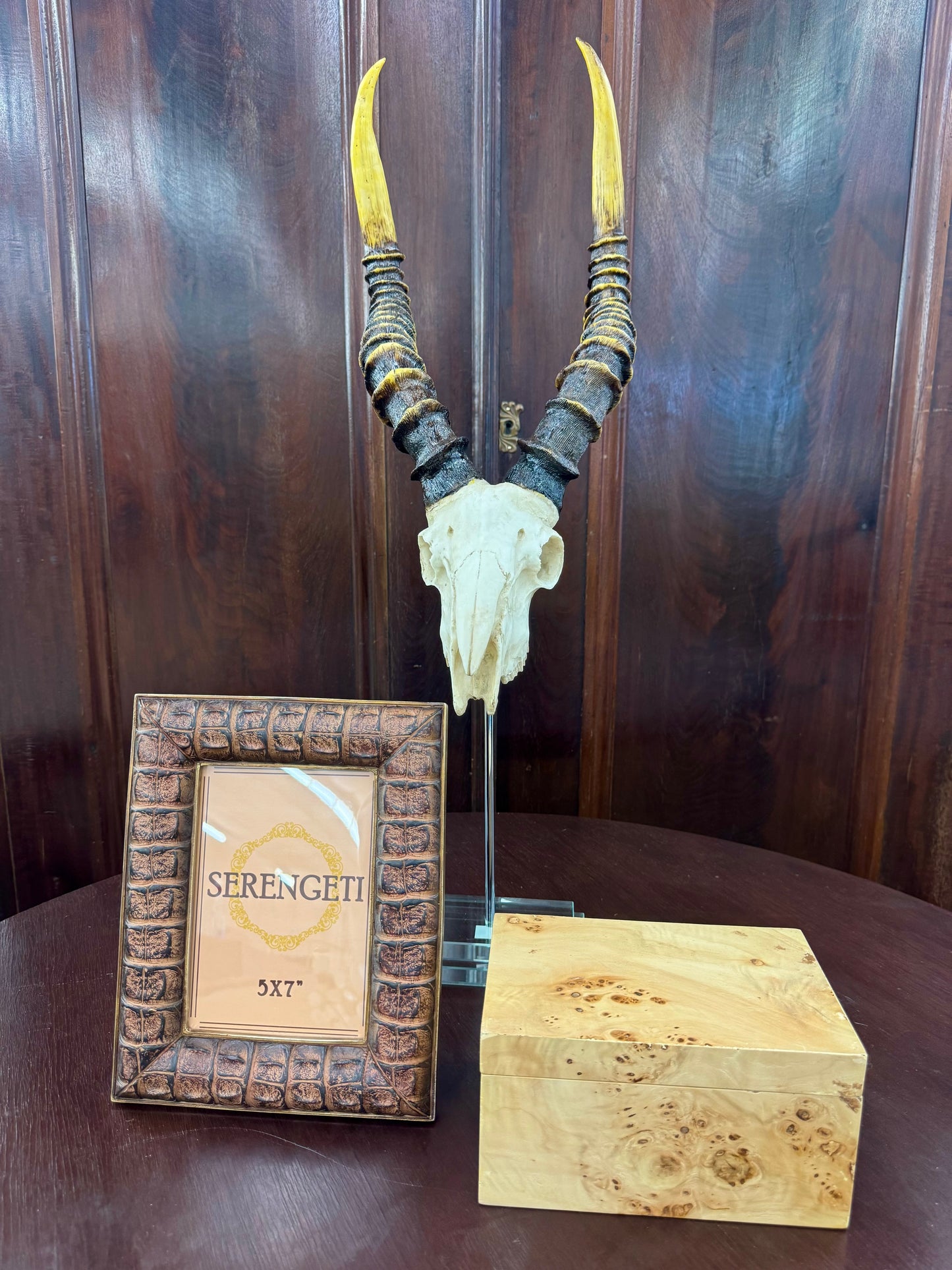 Natural Kudu Skull Double Step Glass Base