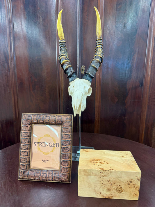 Natural Kudu Skull Double Step Glass Base