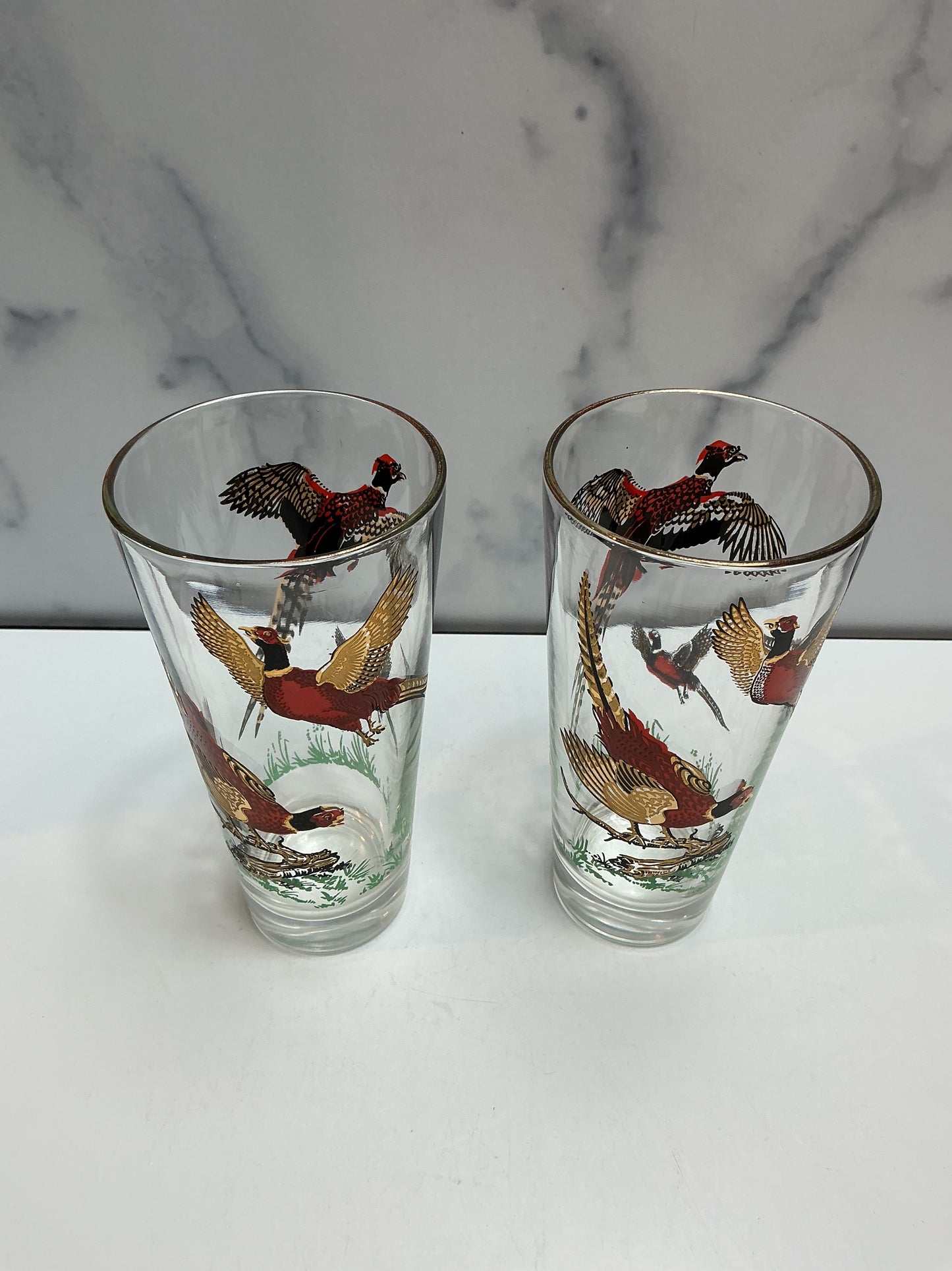 Vintage Pheasant Highball Glasses (Set of 2)