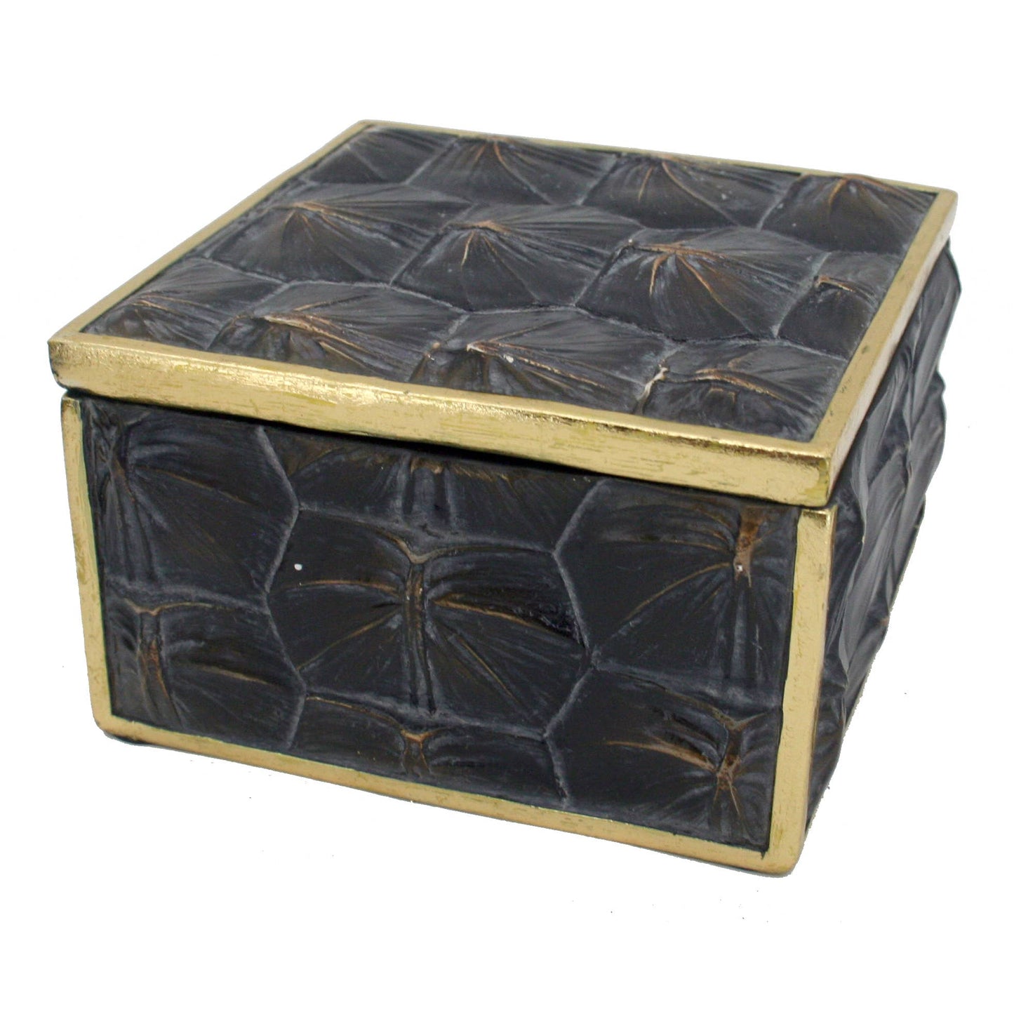 Snapping Turtle Shell Box