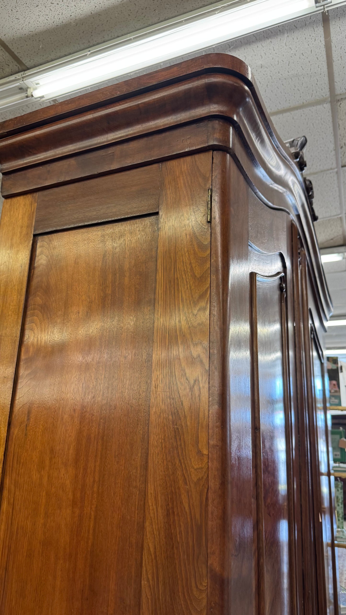 Burl walnut Armiore