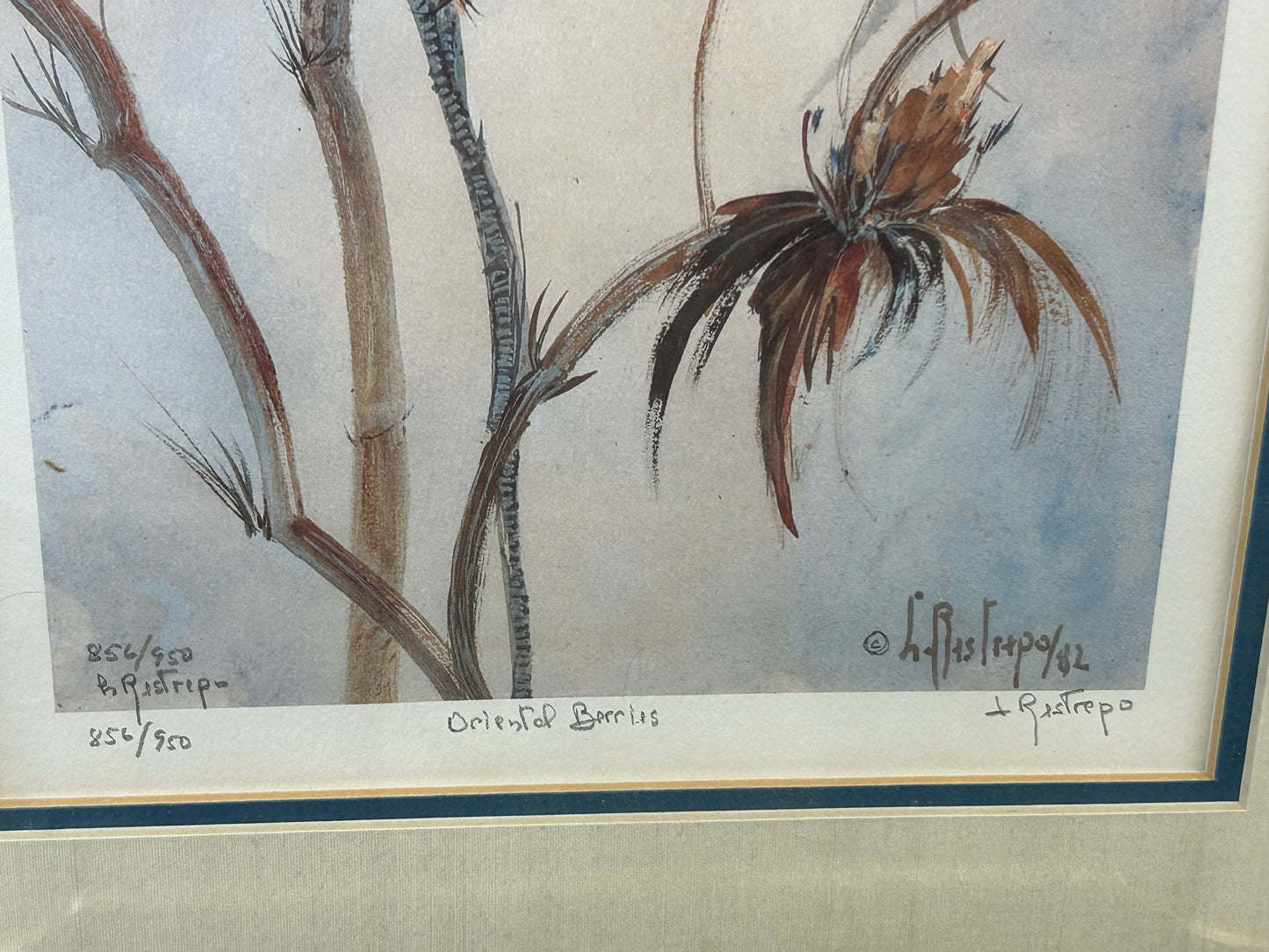 Pair of S. R. Pastripo signed and numbered botanical prints