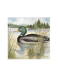 Mallard duck Cocktail Napkins