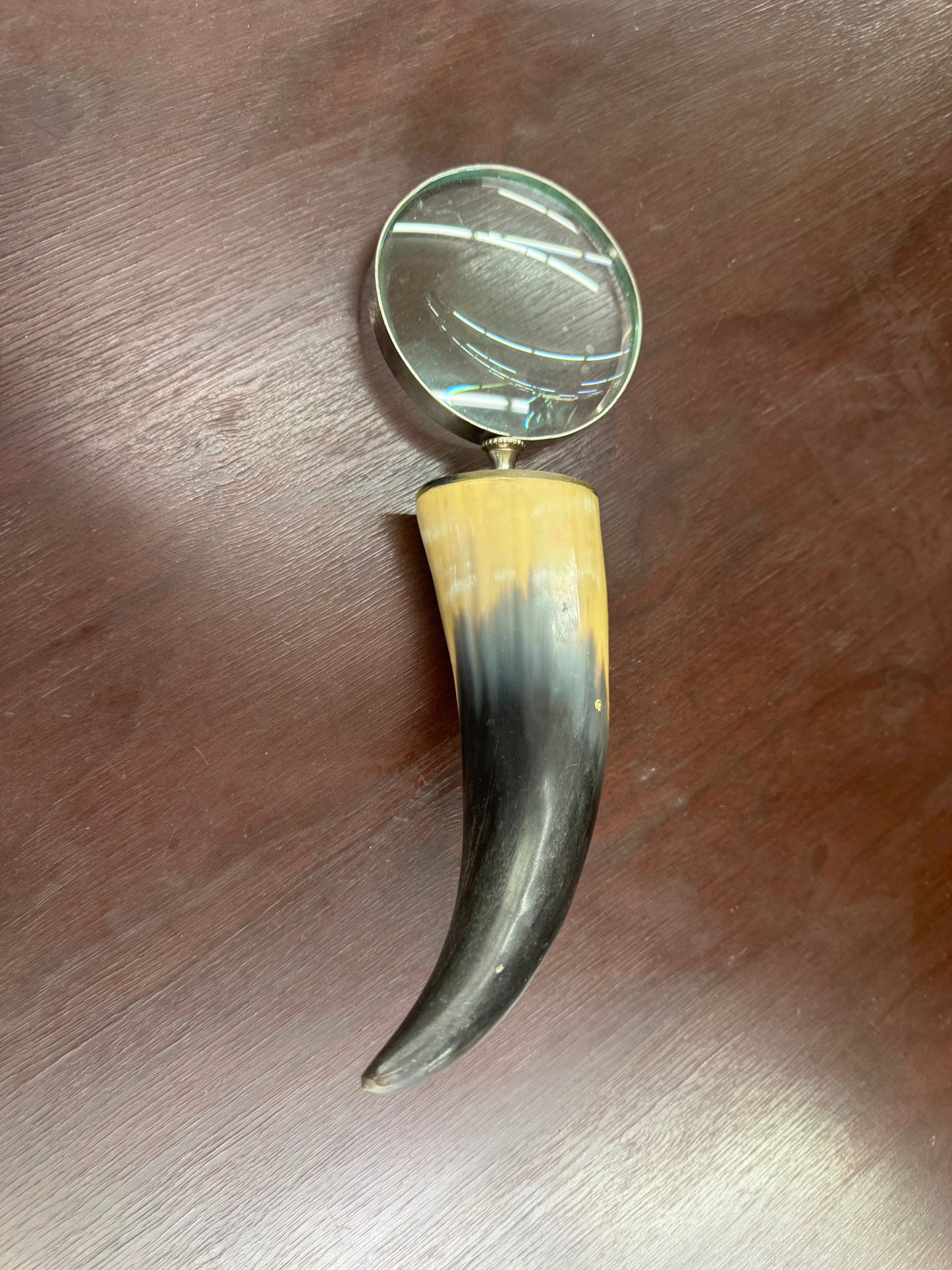 Horn magnifying glass