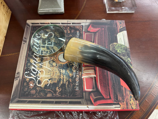 Horn magnifying glass