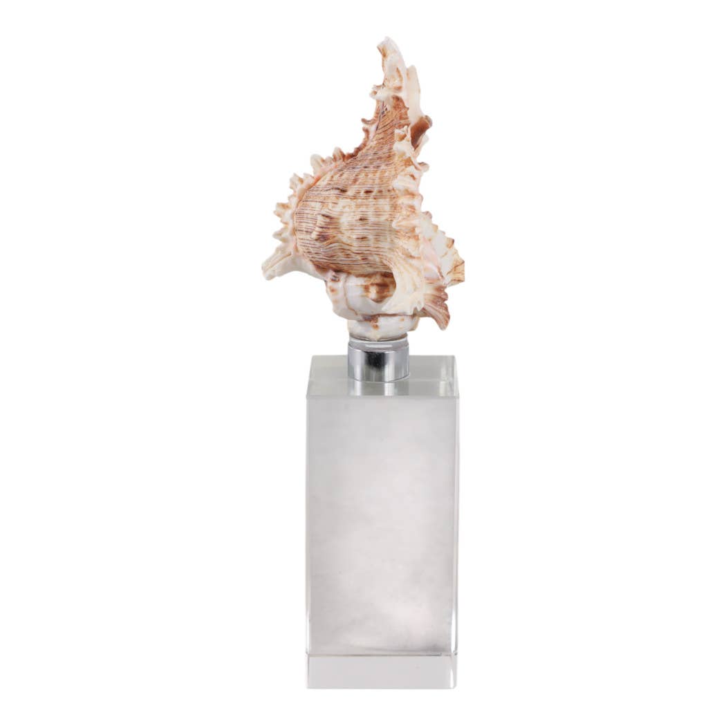 Sculpture - Ivory Shell on Clear Crystal Base, 8 in.