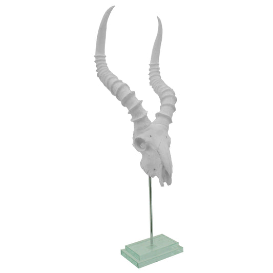 White Kudu Skull Double Step Glass Base