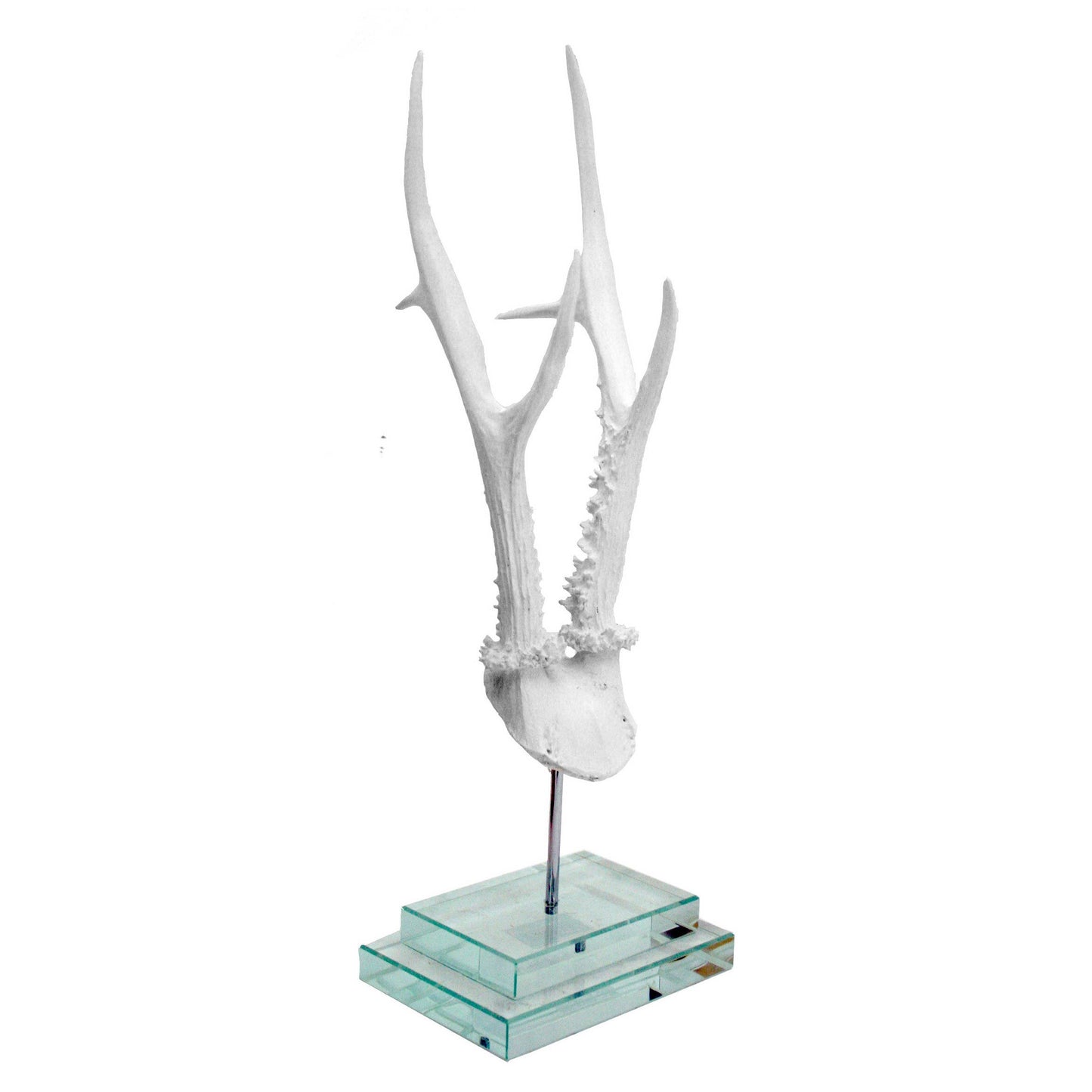 White Antler on Double Glass Base
