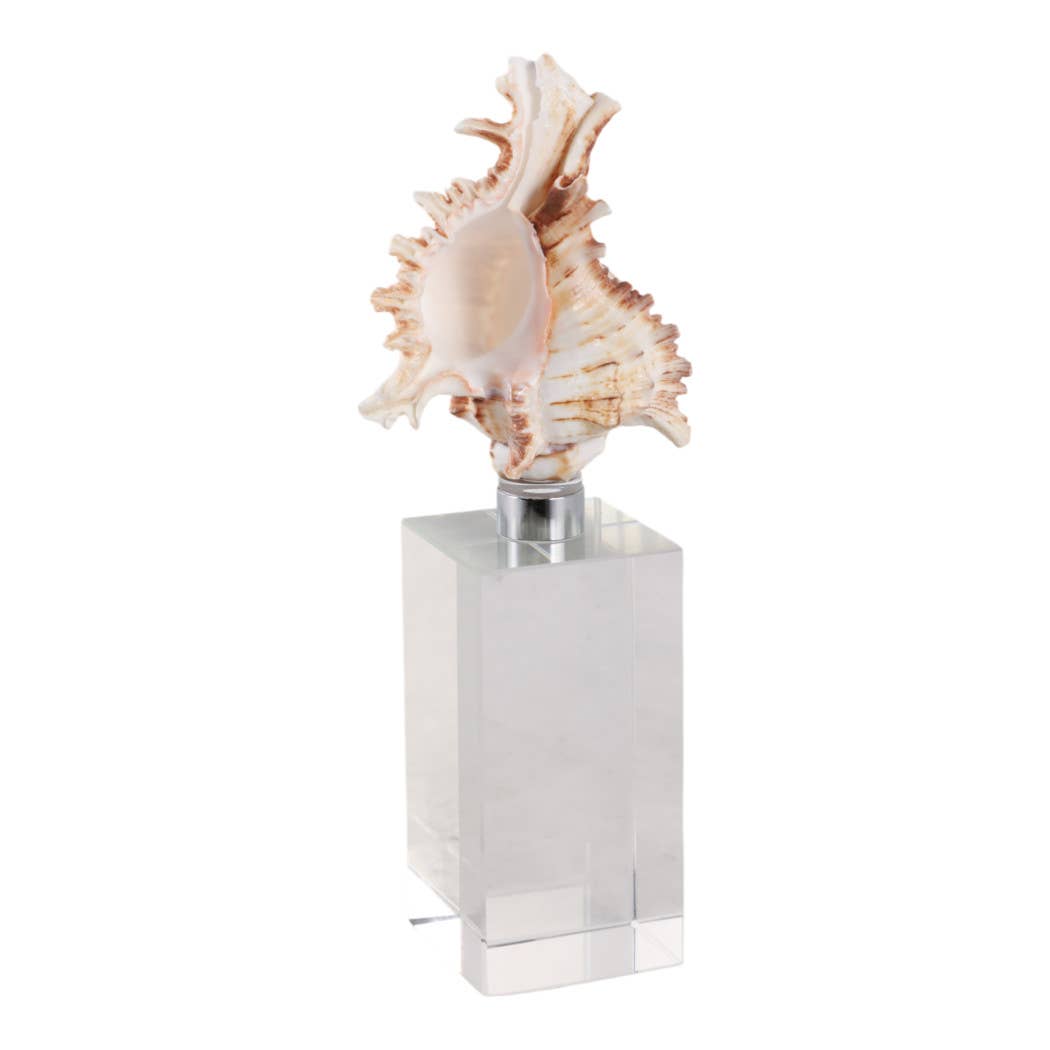 Sculpture - Ivory Shell on Clear Crystal Base, 8 in.