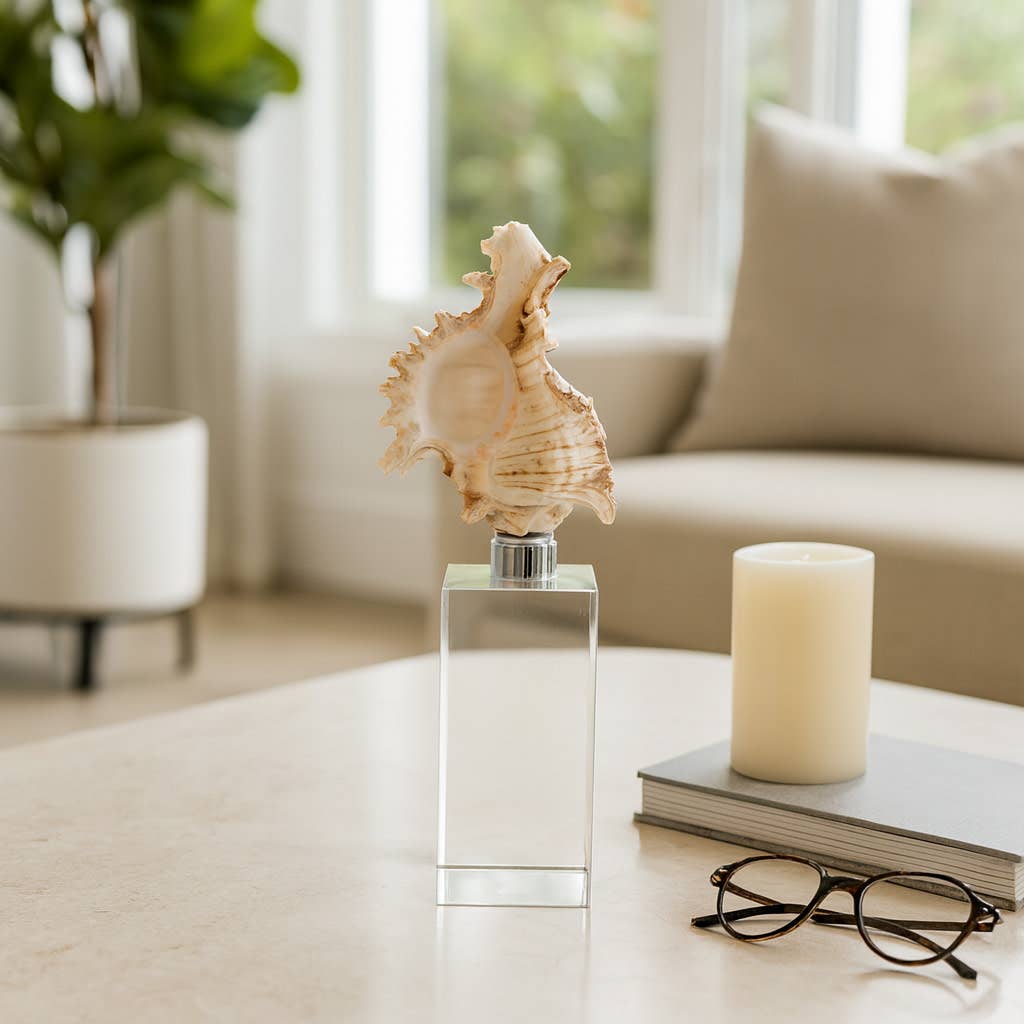 Sculpture - Ivory Shell on Clear Crystal Base, 8 in.