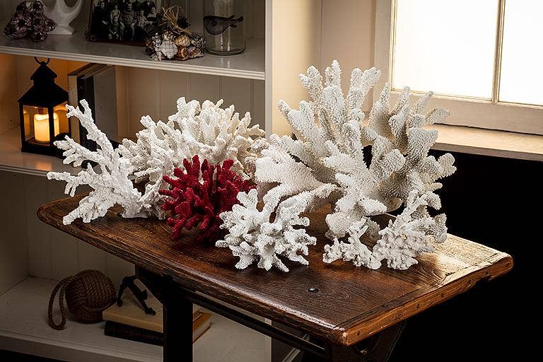 Large Coral Branch-White-12"L