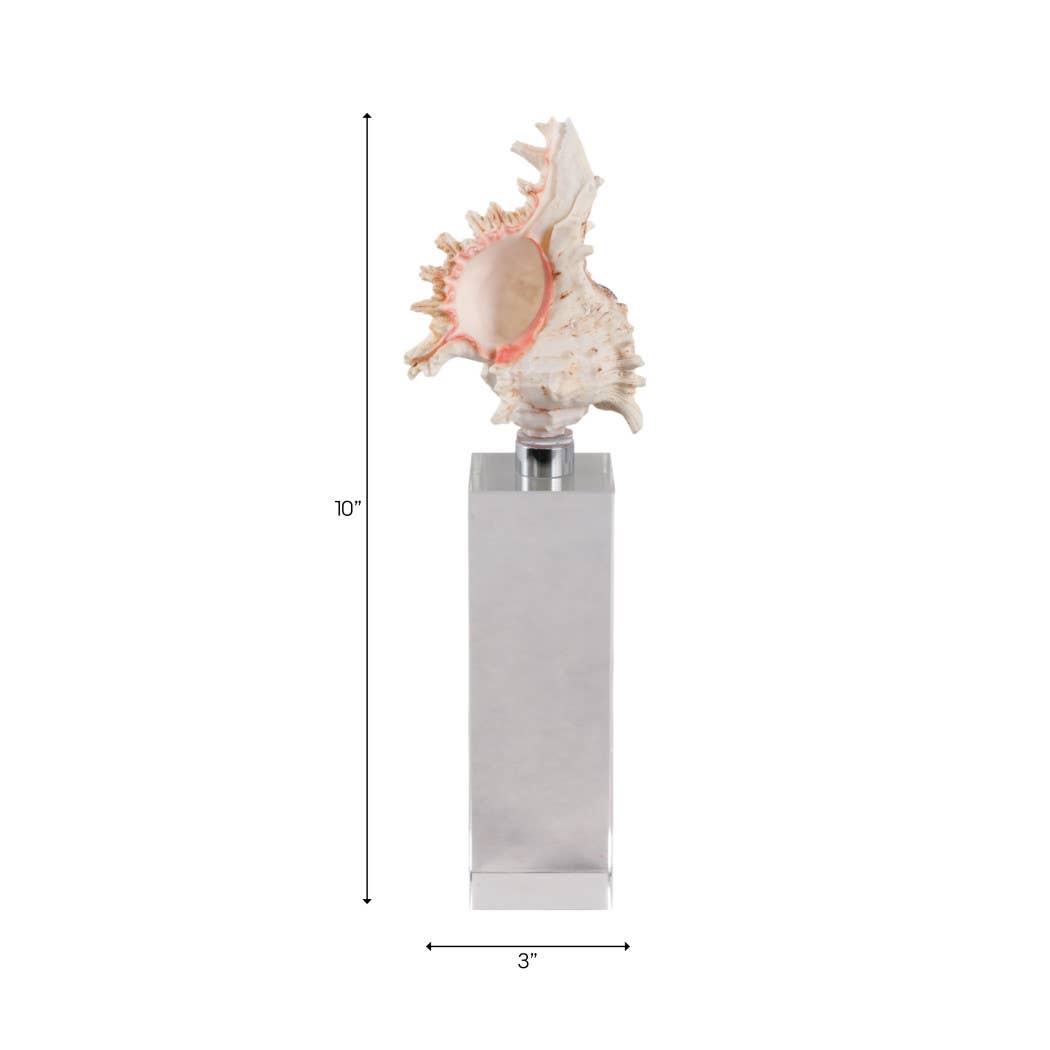 Sculpture - Ivory Shell on Clear Crystal Base, 10 in.