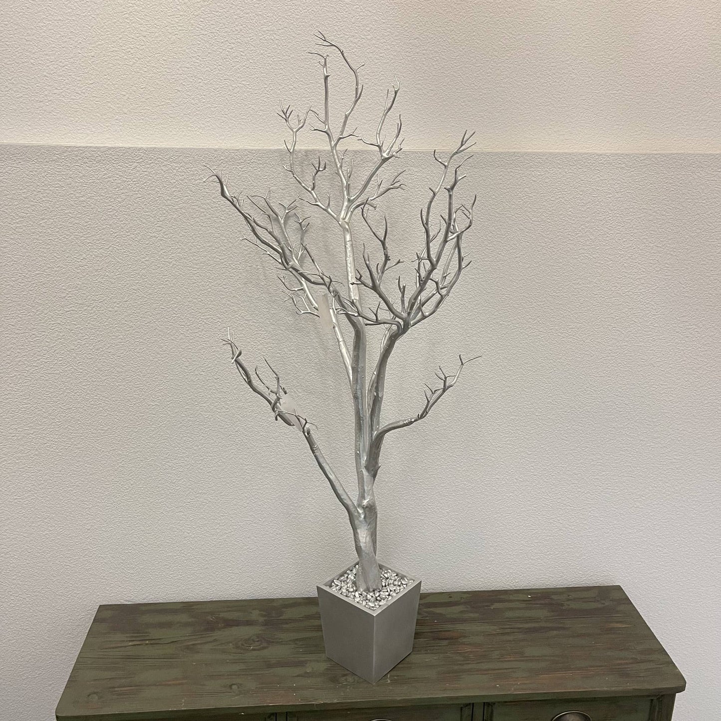 Manzanita Tree In Planter 4 ft