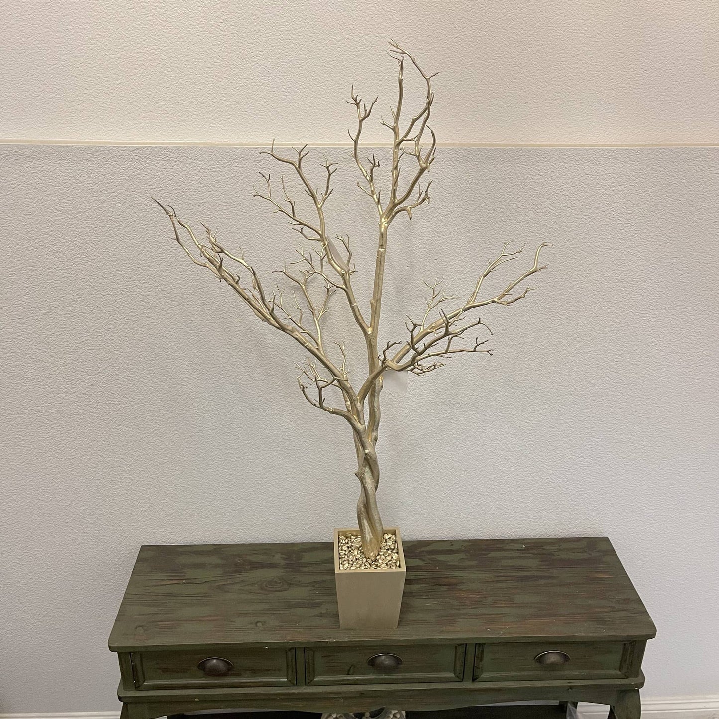 Manzanita Tree In Planter 4 ft