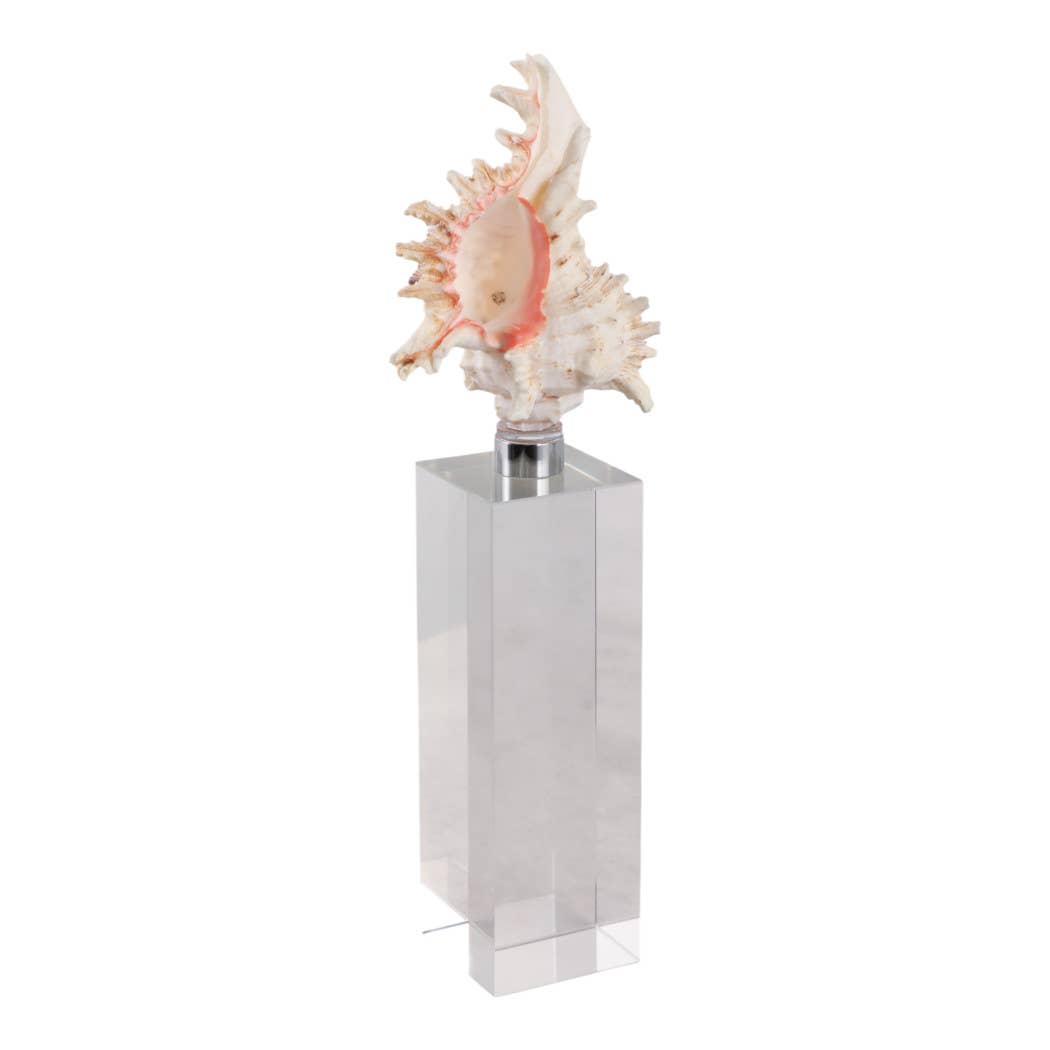 Sculpture - Ivory Shell on Clear Crystal Base, 10 in.
