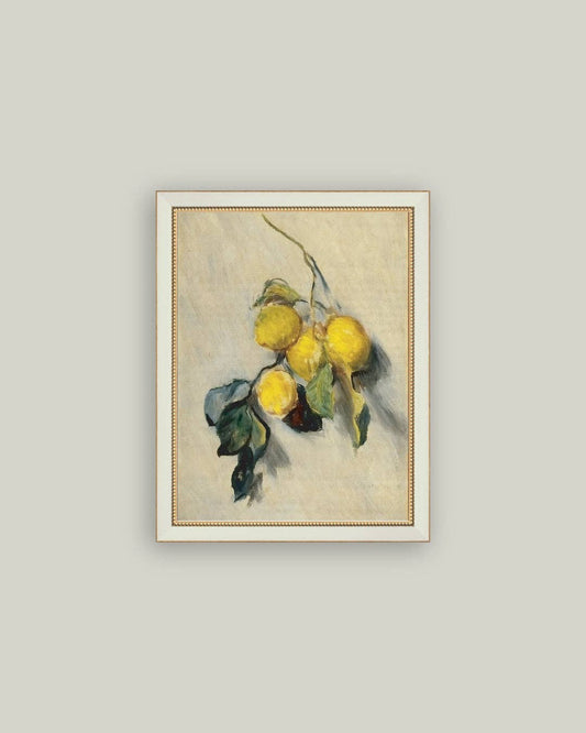 Branch of a Lemon Tree Framed Antique Art